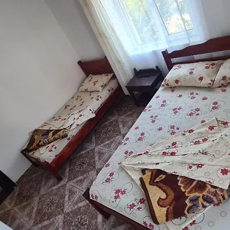 Casa Covrig * Costinesti